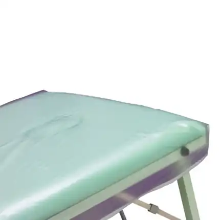 HIVE OF BEAUTY PVC Plastic Couch Cover